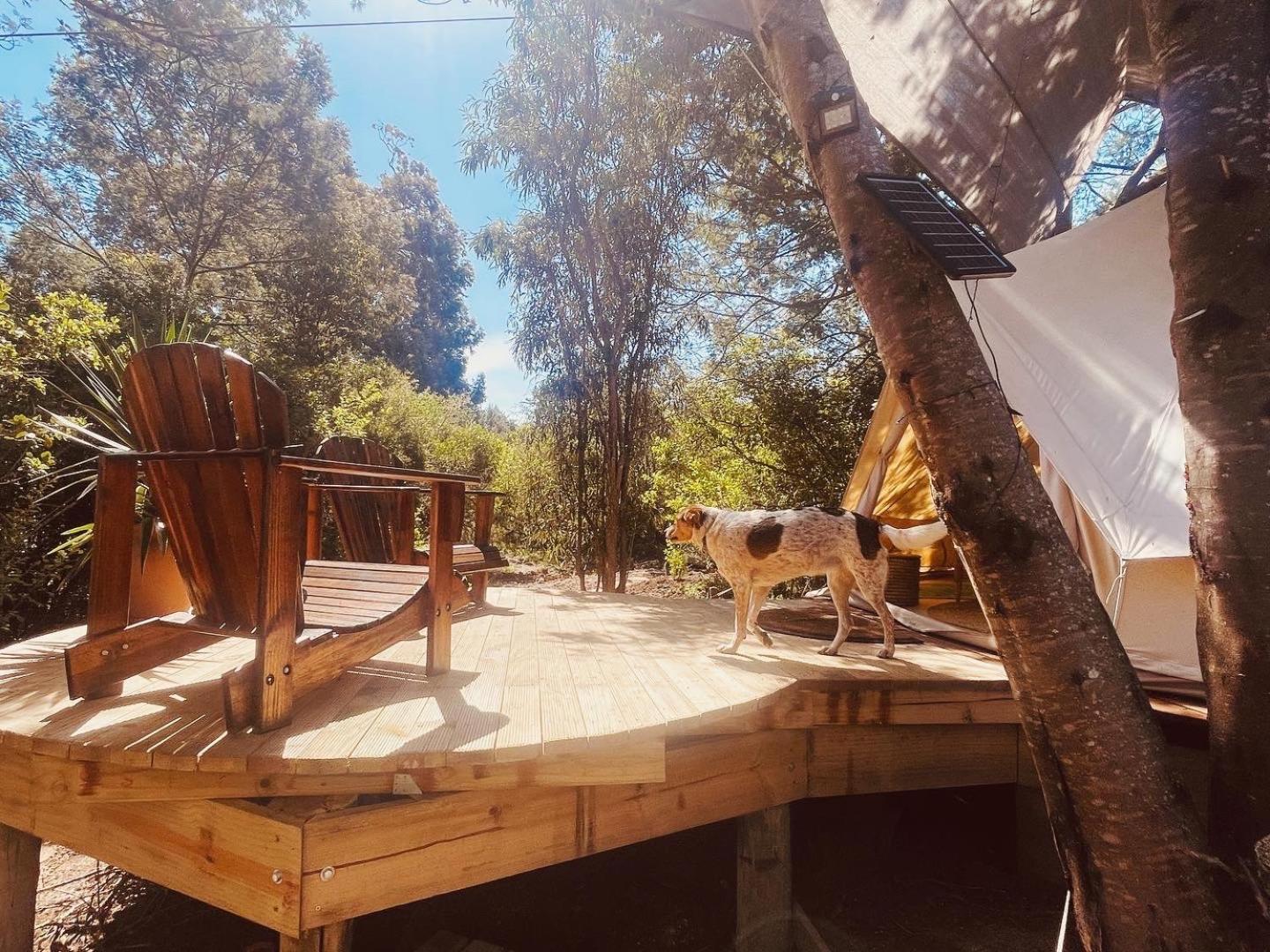 Zen Valley Glamping Luxury tent *